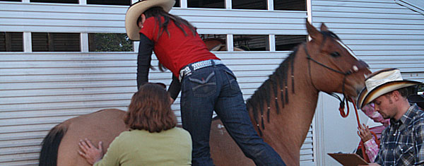 Welcome To Curell Animal Chiropractic Connection