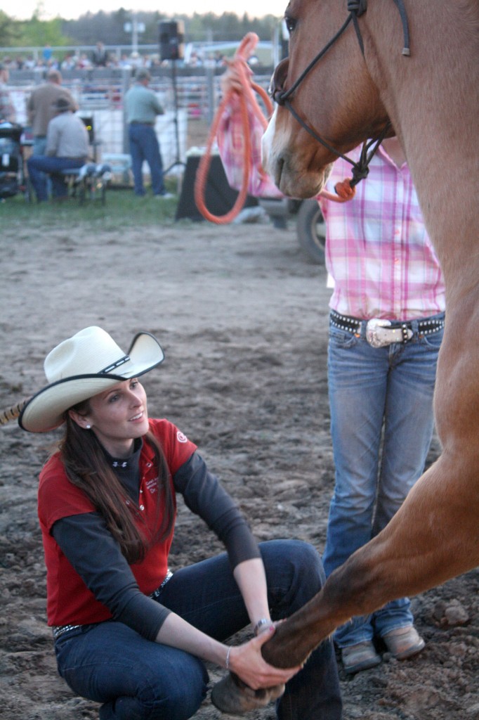 Dr. Sara treating a horse