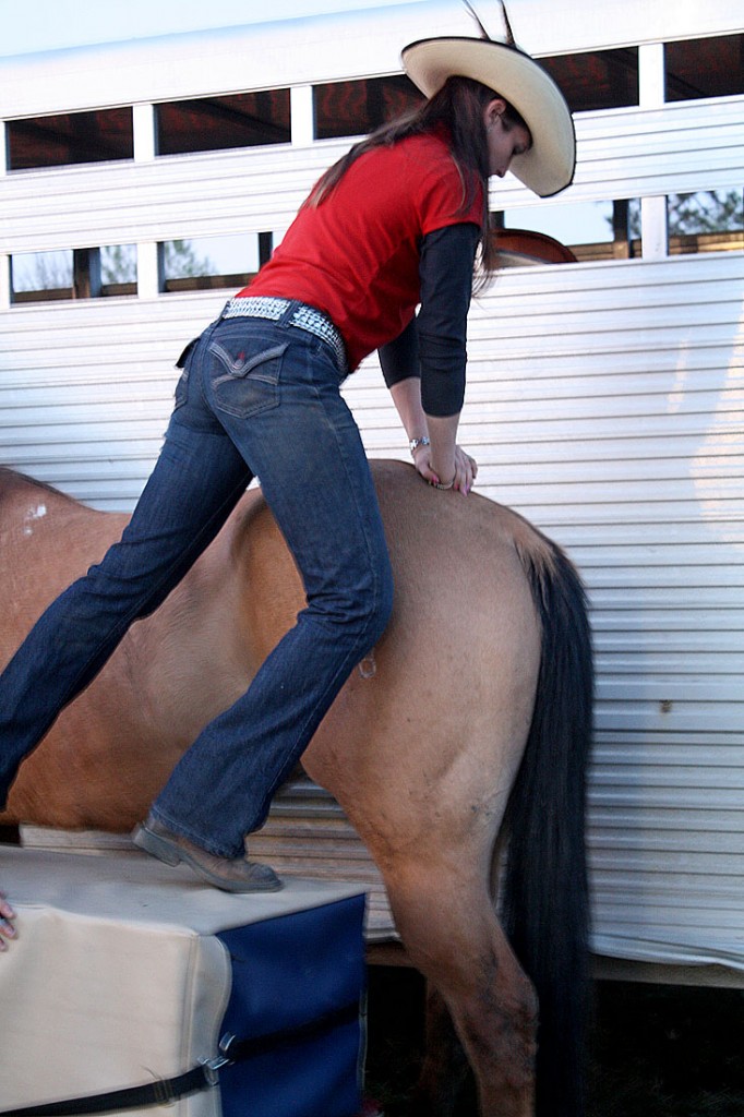 chiropractic treatment for a horse